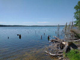 Lake shoreline.