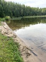 Shoreline near the boat launch. Looks like lots of people have been pulling up boats here.