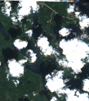 Jumbo Lake
