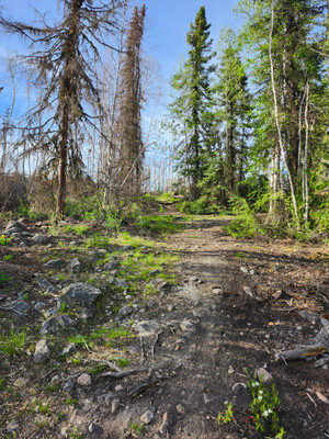 Portage into Davis Lake from McLennan Lake. 2026