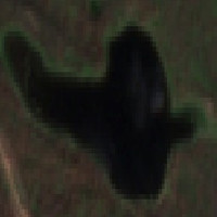 Ridge Lake - Jul 24, 2026