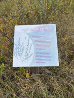 Nature trail sign.