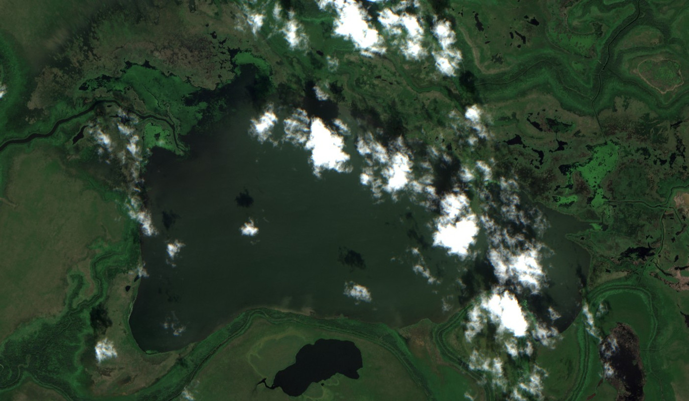 Cut Beaver Lake - Jul 14 - Jul 21