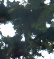 Otter Lake
