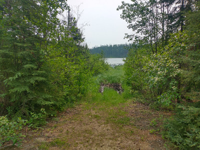 Boat access to Clarence Lake. Very muddy.