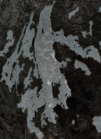 Hanson Lake - May 06, 2026