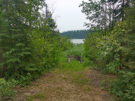 Boat access to Clarence Lake. Very muddy.