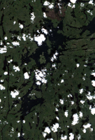 Oliver Lake - Jul 24, 2026