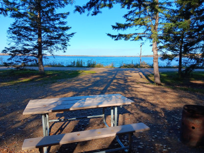 Campsite adjacent to the beach.