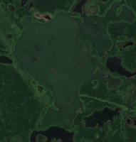 Bland Lake