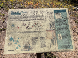 Interpretive sign at the lake.
