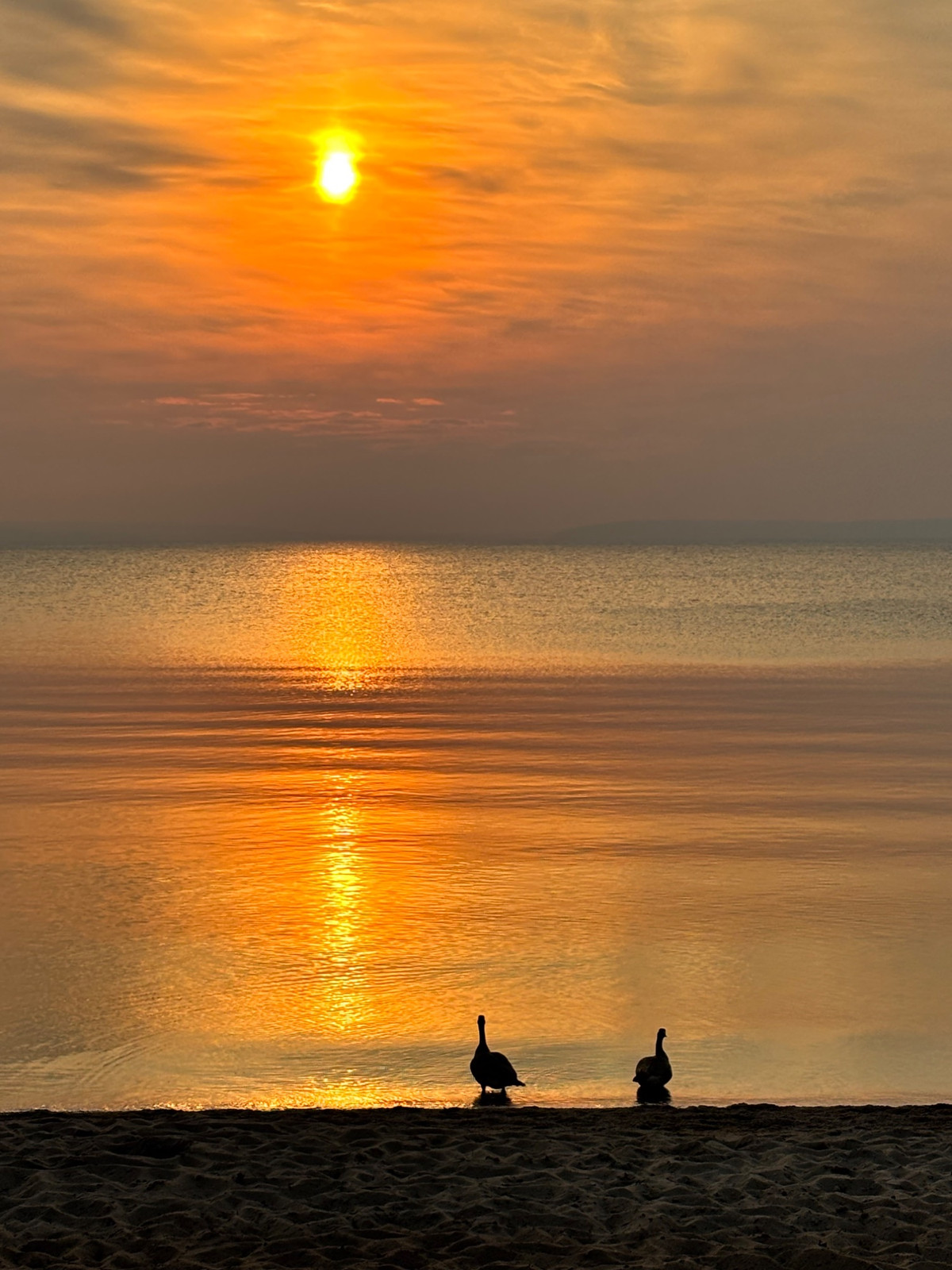 Beautiful sunset