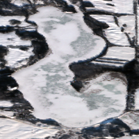 Pratt Lake - Jan 26, 2026