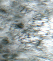 Piket Lake - Jul 24, 2026