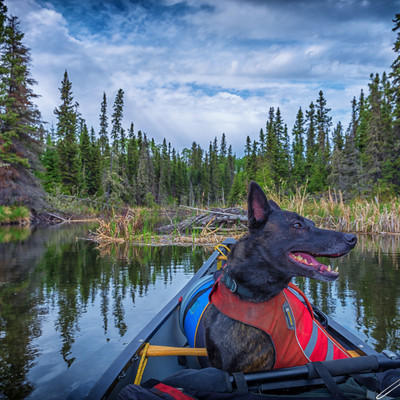 looking up the stream that connects Hunter Bay with Nunn lake