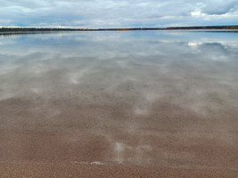 Crystal clear water at the beach!