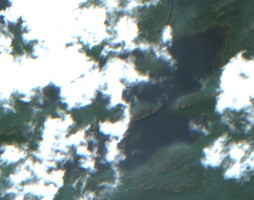 Shannon Lake