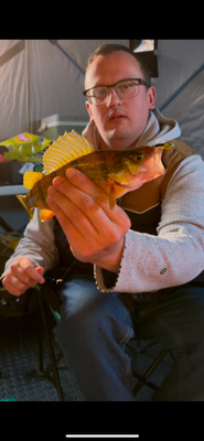 A fun perch to start the evening