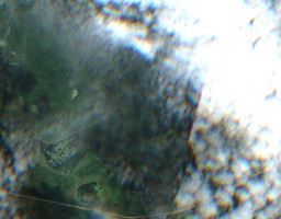 First Mustus Lake - Jul 24, 2026
