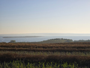 View from the road near the Biosphere buildings