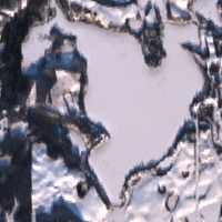 Martins Lake - Dec 20, 2025