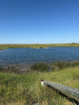 View of the pond.