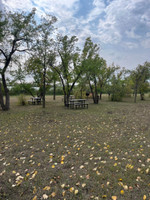 Picnic area.