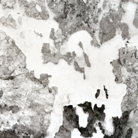 Sikachu Lake - Apr 29, 2026