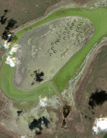 Crane Lake
