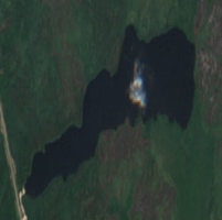 Sealey Lake