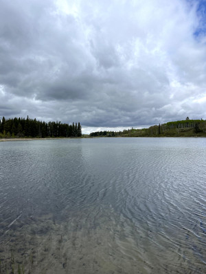 View of the lake from the boat launch