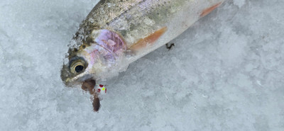 Ice fishing 