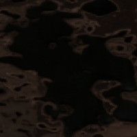 Lady Lake - May 13, 2026