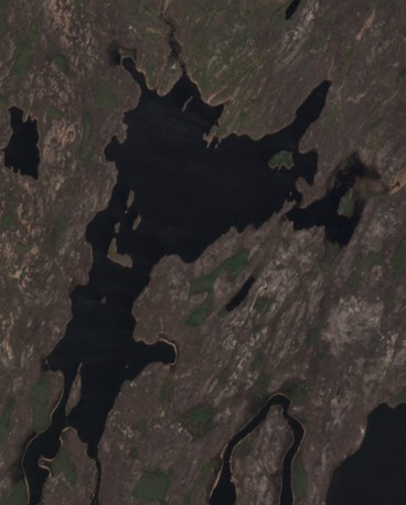 Howard Lake - May 24 - May 31