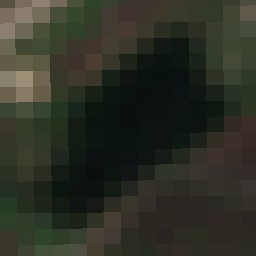 Emerald Pond - Jun 03 - Jul 03