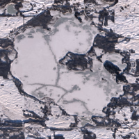Shell Lake - Jan 16, 2026