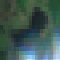 Nisbet Trout Pond - Jul 24, 2026