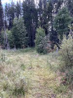 Path to the lake from the parking lot.