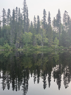Mosher Lake in 2023