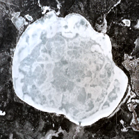 Namekus Lake - May 01, 2026
