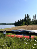 Beach beside the boat launch.