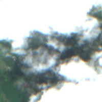 Picnic Lake - Jul 24, 2026