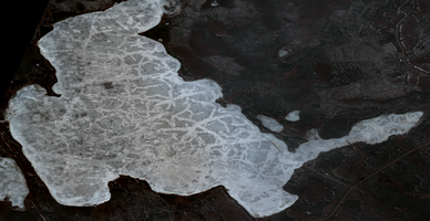 Sled Lake - May 06, 2026