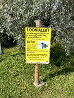 Loon sign.