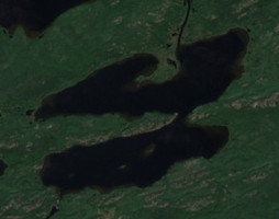 Shannon Lake - Jul 24, 2026