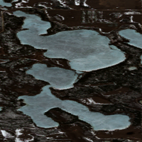 Fur Lakes - May 01, 2026