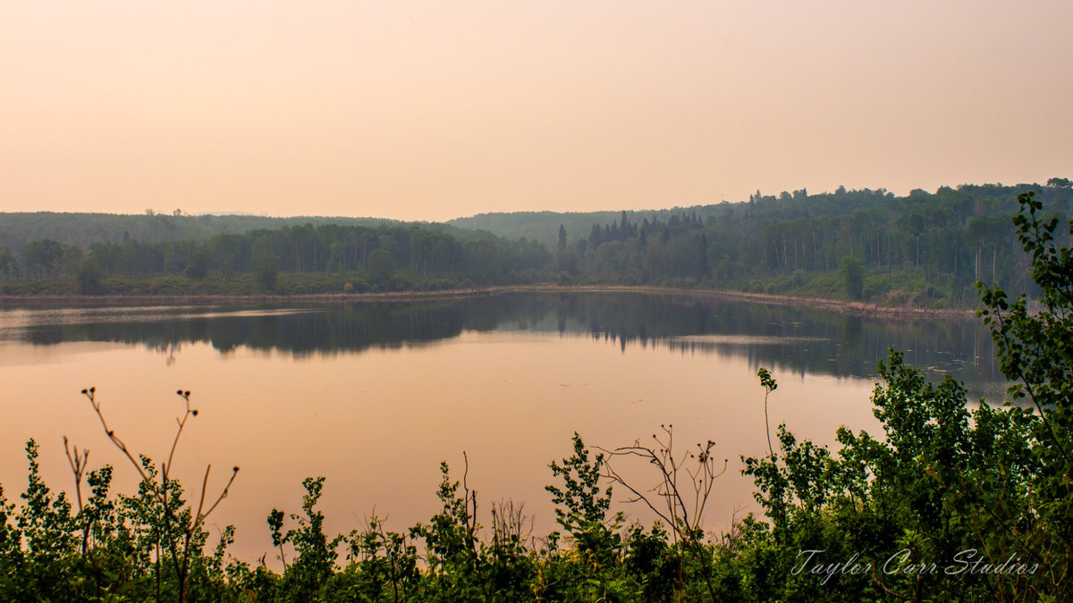 From Fernview Valley Trail