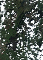 Pinehouse Lake - Jul 24, 2026