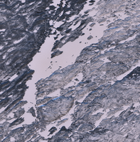 Bonokoski Lake - Jan 24, 2026
