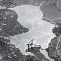 Peck Lake - Feb 16, 2026